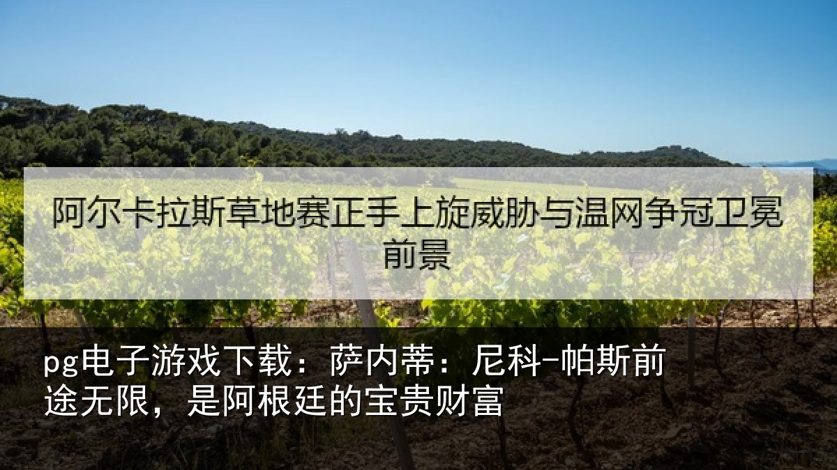 pg电子游戏下载:萨内蒂:尼科相关情况根廷的宝贵财富