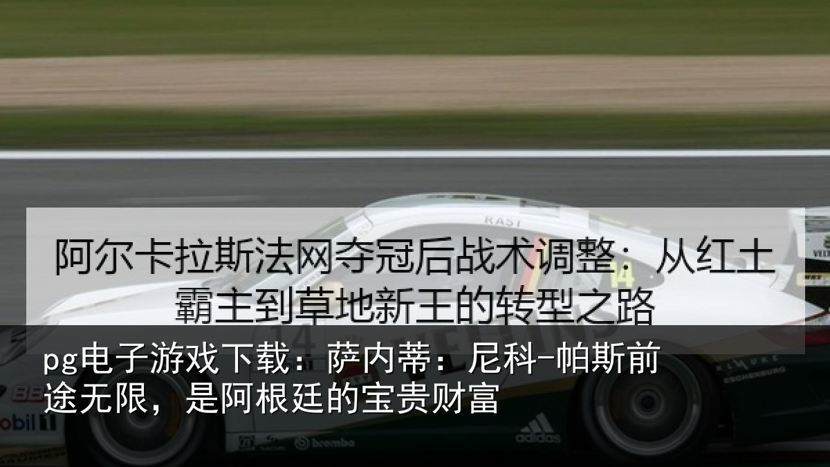 pg电子游戏下载:萨内蒂:尼科相关情况根廷的宝贵财富